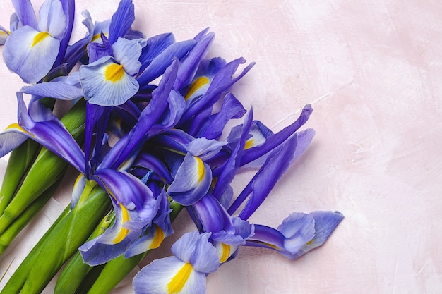 Flower Blue lilies from above. Germanic iris.