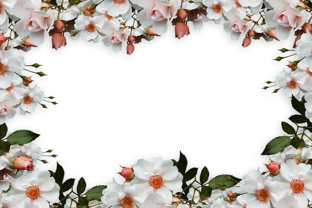 Photo flower border frame background flower background floral frame background