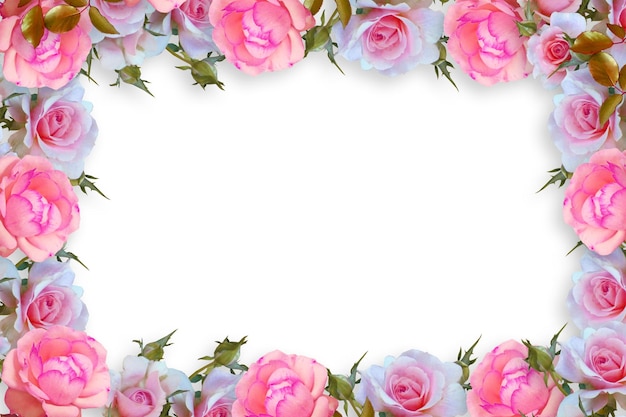 Flower border Frame Background Flower Background Floral Frame Background