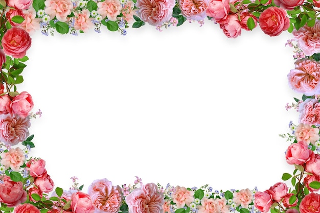 Flower border Frame Background Flower Background Floral Frame Background