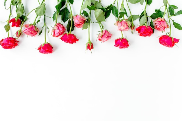 Flower border frame made of red roses on white background with copy space for text