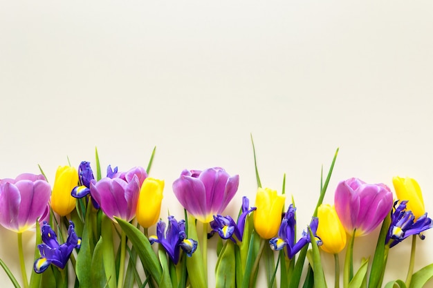 Flower bouquet of tulips on white background