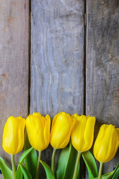 Flower bouquet of tulips on wooden background