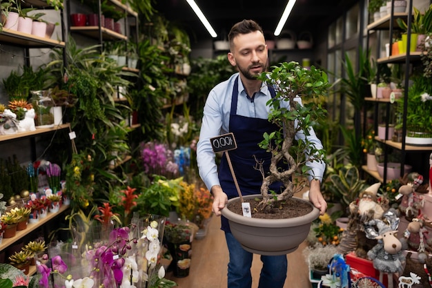 The flower boutique manager carries a banzai in a pot