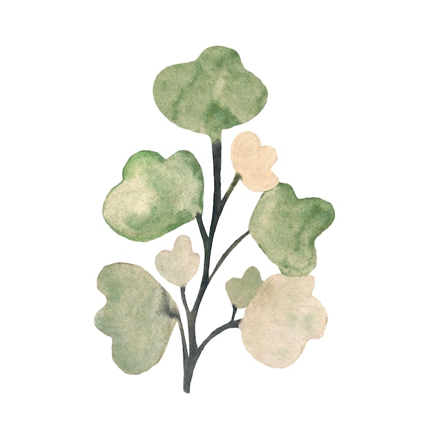 Flower branch green cute flat sketch. A watercolor illustration. Hand drawn texture and isolated.
