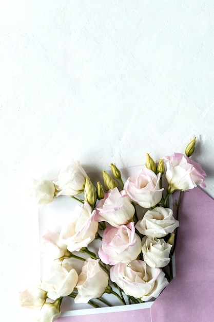 Flower bud flat lay in an envelope lisianthus or eustoma texas bell and prairie gentian irish rose on white background with copy space Concept for greeting card mail and congratulations