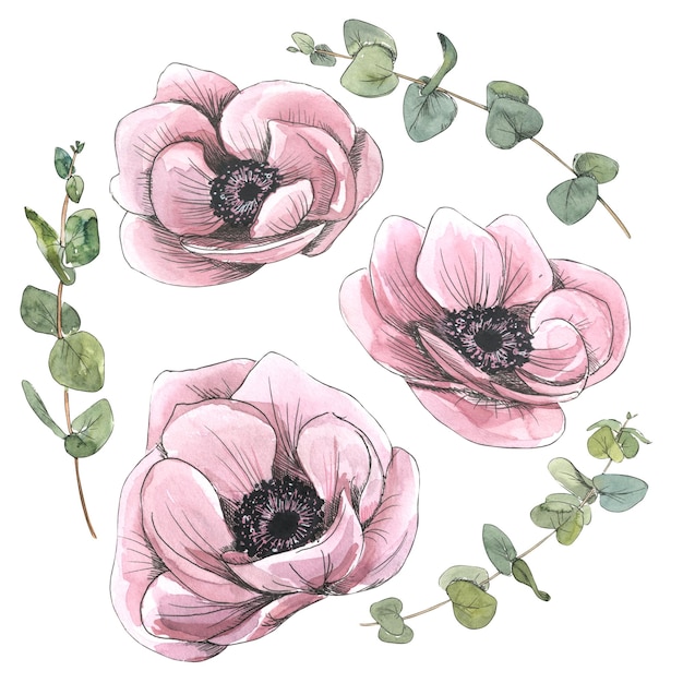 Flower buds of pink anemones with eucalyptus flowers Watercolor illustration in sketch style with graphic elements Isolated objects from the PARIS collection For the decoration and design