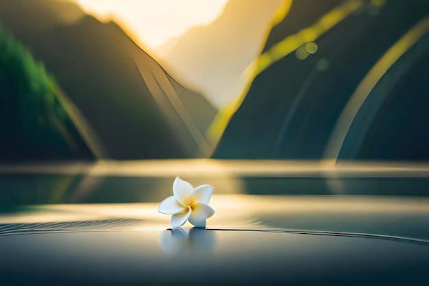 a flower on a car with the sun setting behind it.