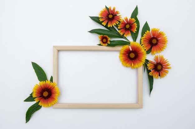 Foto composizione floreale. cornice di fiori giallo arancione su sfondo bianco