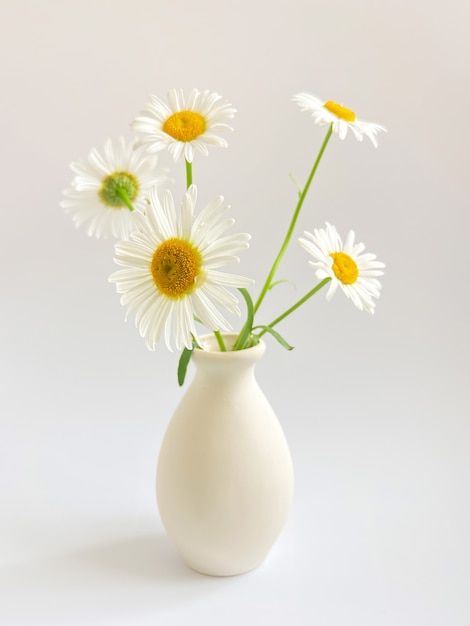 Flower composition.  High key photography with white chamomile in a clay vase on a white background.  Natural light template for your projects.