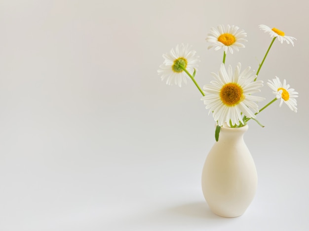 Flower composition.  High key photography with white chamomile in a clay vase on a white background.  Natural light template for your projects.