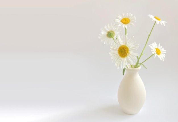 Composizione floreale alta fotografia chiave con camomilla bianca in un vaso di argilla su sfondo bianco