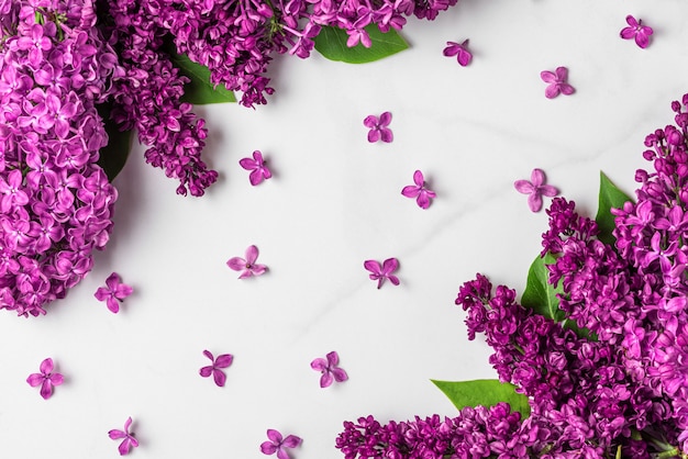 Flower composition. Spring lilac blossoming flowers on white surface