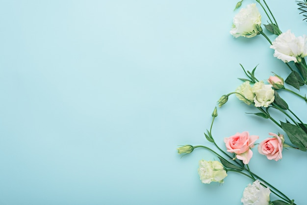 Composizione di fiori, eustoma bianco e rosa rosa su sfondo blu con spazio di copia, piatto laico, vista dall'alto, concetto di sfondo fiore