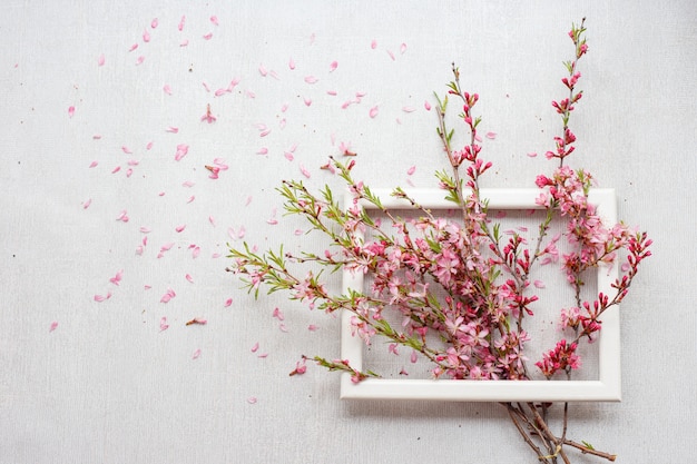 Foto composizione floreale con rami fioriti rosa