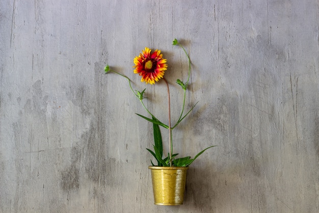 Flower on a concrete. Minimal concept. Creative.