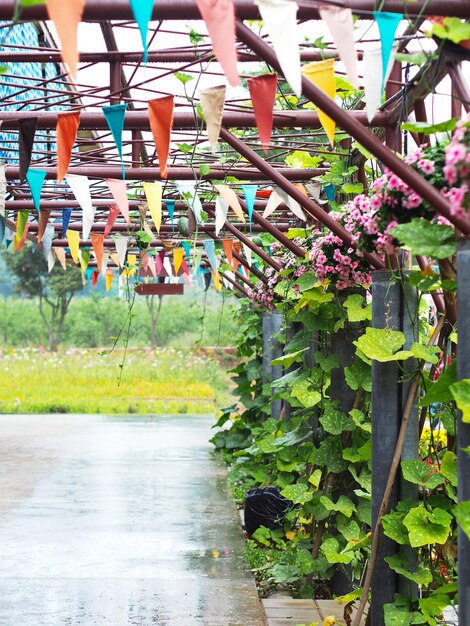 庭の花とクリーパーひょうたん植物雨季の庭の装飾のための金属屋根フレームと登山野菜にぶら下がっているピンクのツルニチニチソウ植木鉢の列