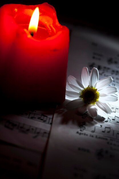 Foto fiore margherita note musicali fogli e lume di candela