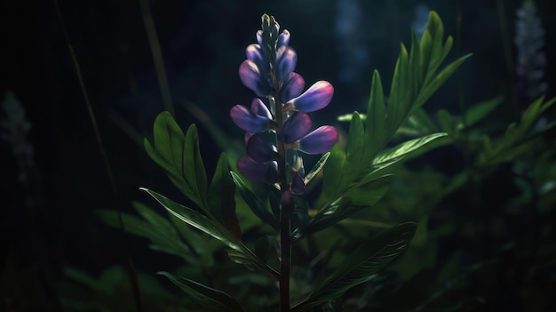 A flower in the dark with a blue flower in the foreground