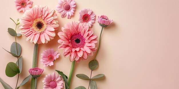 A flower decoration background