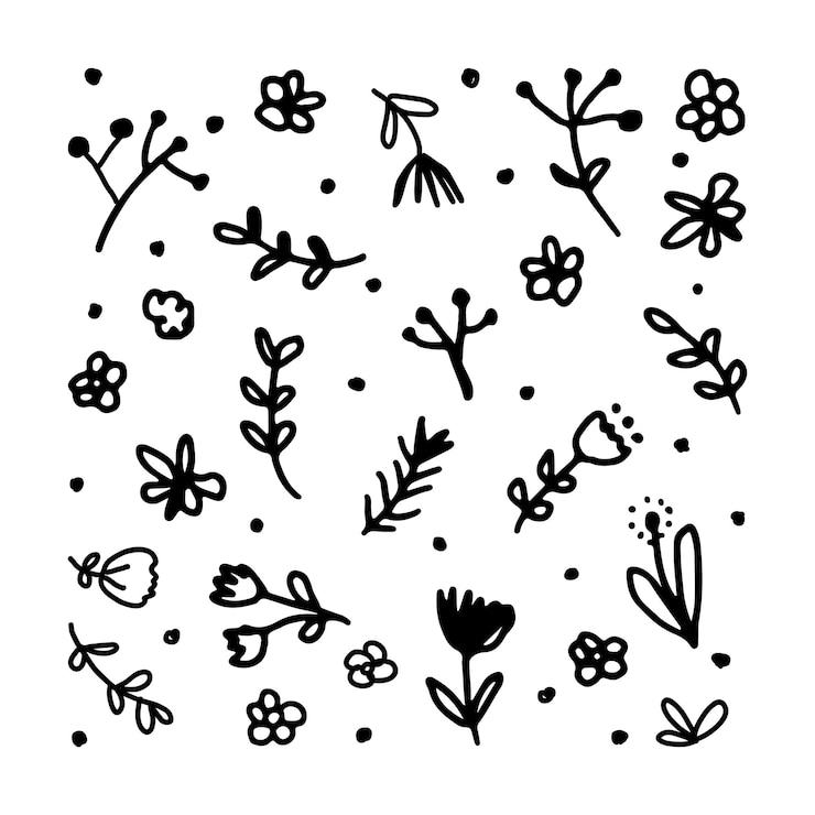 Photo フラワードードル png 美学的なイラスト 透明な背景