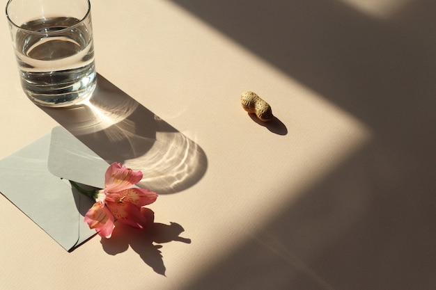 Фото Цветок, конверт, вода, арахис на столе с тенью