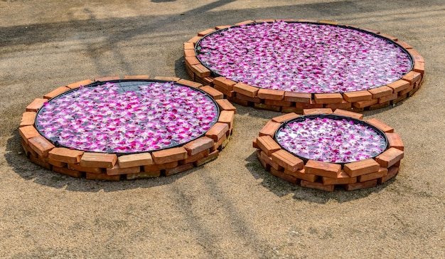 Flower floating in urban jar