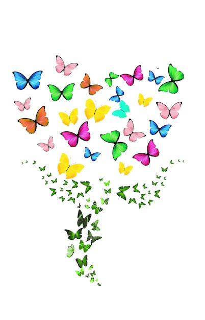 Flower of flying butterflies isolated on a white background. High quality photo