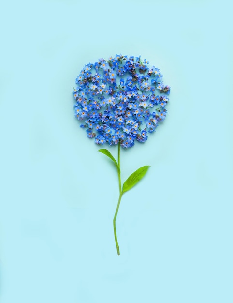 A flower in the form of a circle of blue flowers love concept flat laying