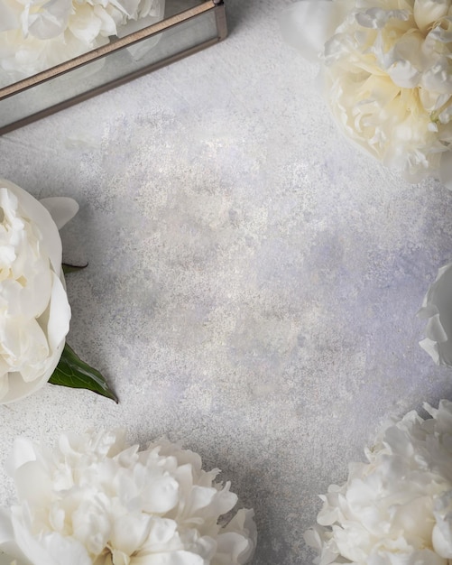 Flower frames. white peony on gray stone background. greeting card concept. mock up. flatlay with copy space.