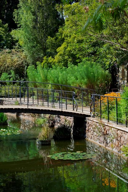 Flower garden on the edge of a small canal