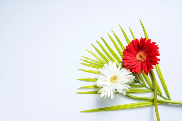 flower and green leaf on white