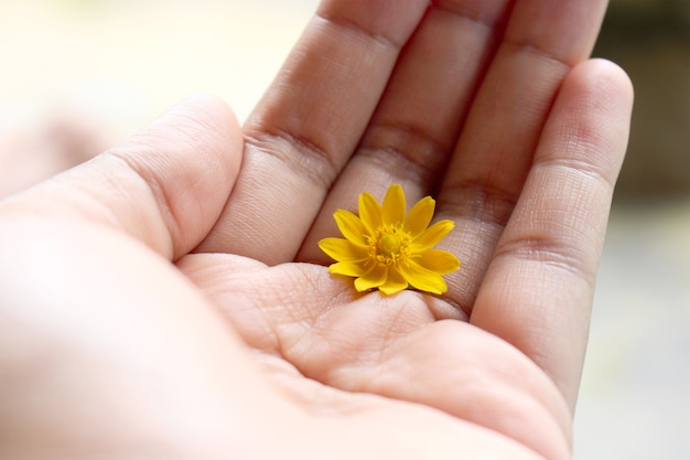 Flower on Hand