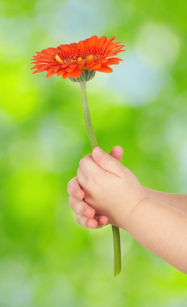 flower in hands