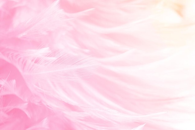 Pink feathers background Poster