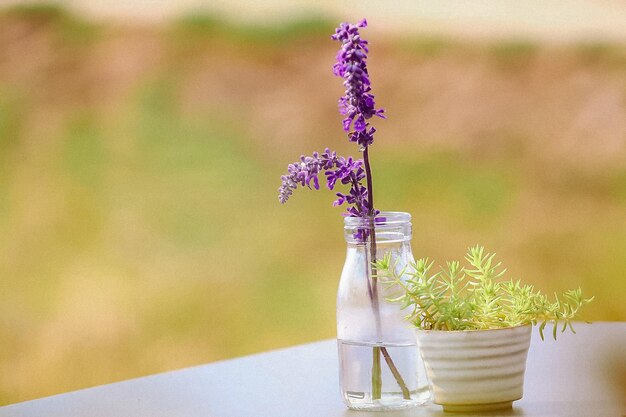 写真 庭の花瓶の中の花<unk>