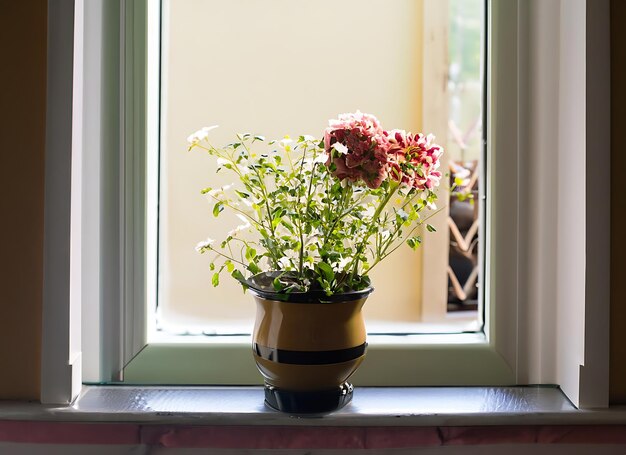 写真 室内花 窓の自然 植物の建築 花瓶 花瓶