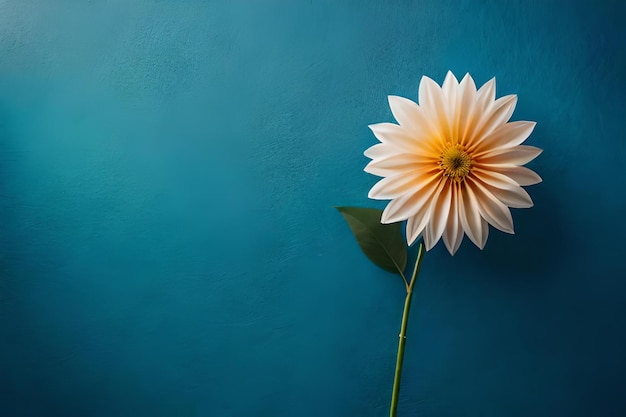 A flower is standing on a blue surface with the yellow center.