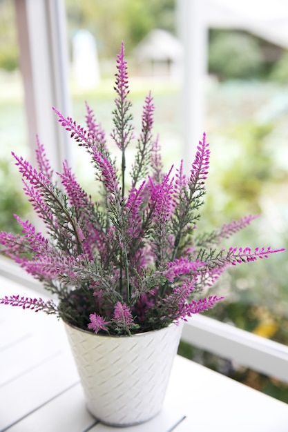 Flower in jar