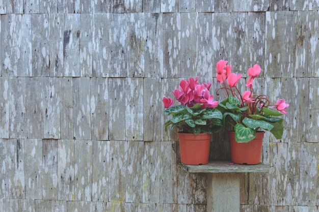 Foto fiore in un supporto jardiniere sulla mensola di legno