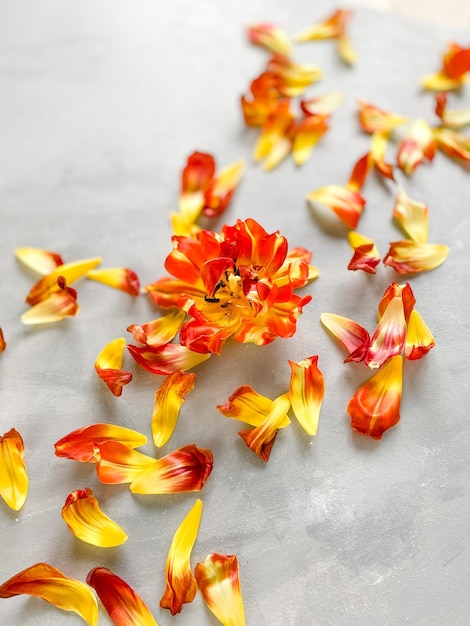 Photo flower and leaf arrangement