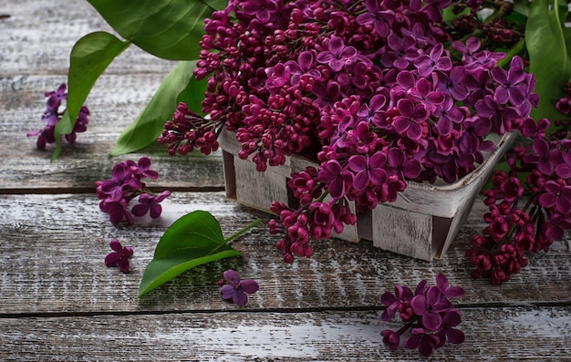Flower lilac on a wooden background 