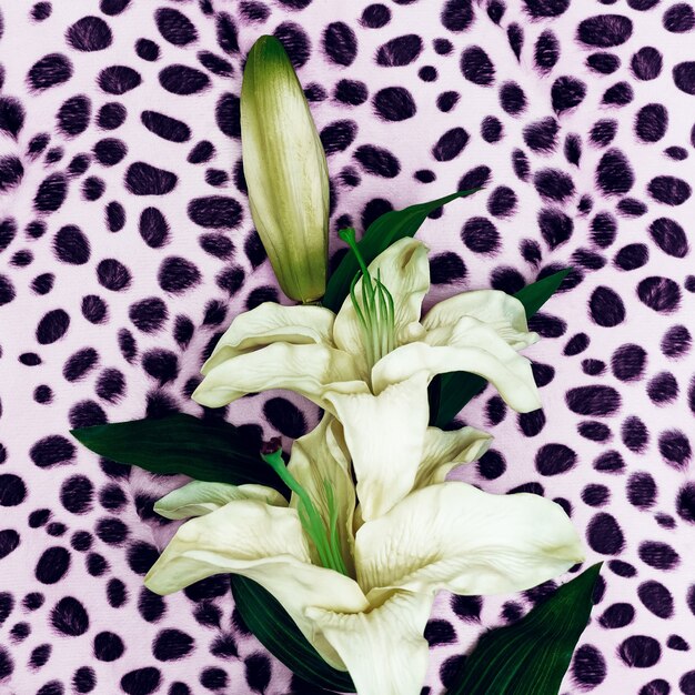 Flower Lily on fashion animal background. Minimalism