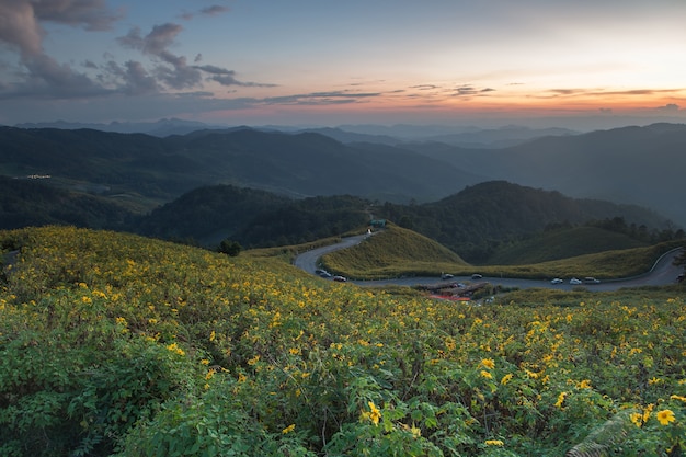 山の花