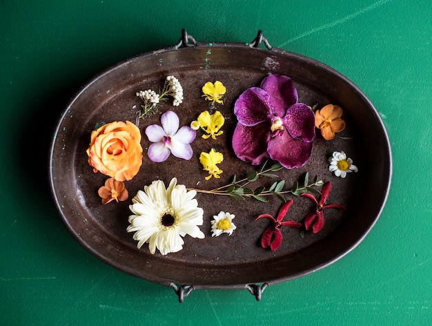 Foto fiore bellezza naturale freschezza decorazione