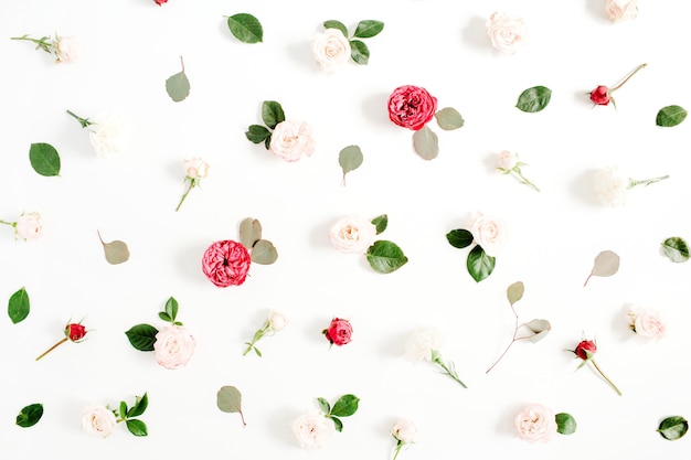 Flower pattern made of red and beige roses, green leaves, branches on white background. Flat lay, top view