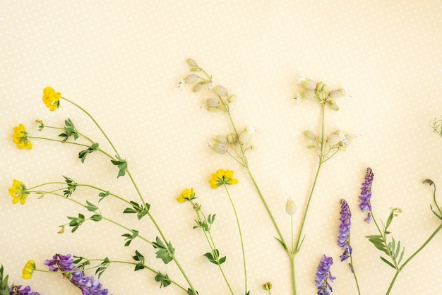 Flower pattern of wildflowers.