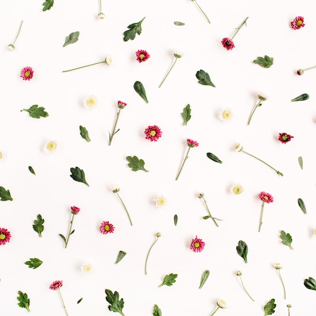 Photo flower pattern with red and white wildflowers