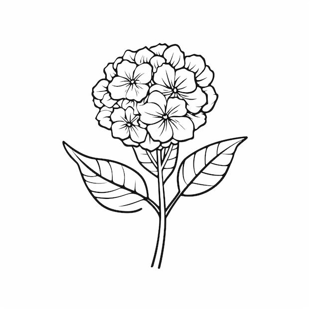 flower pencil art coloring page