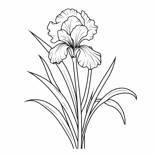 flower pencil art coloring page